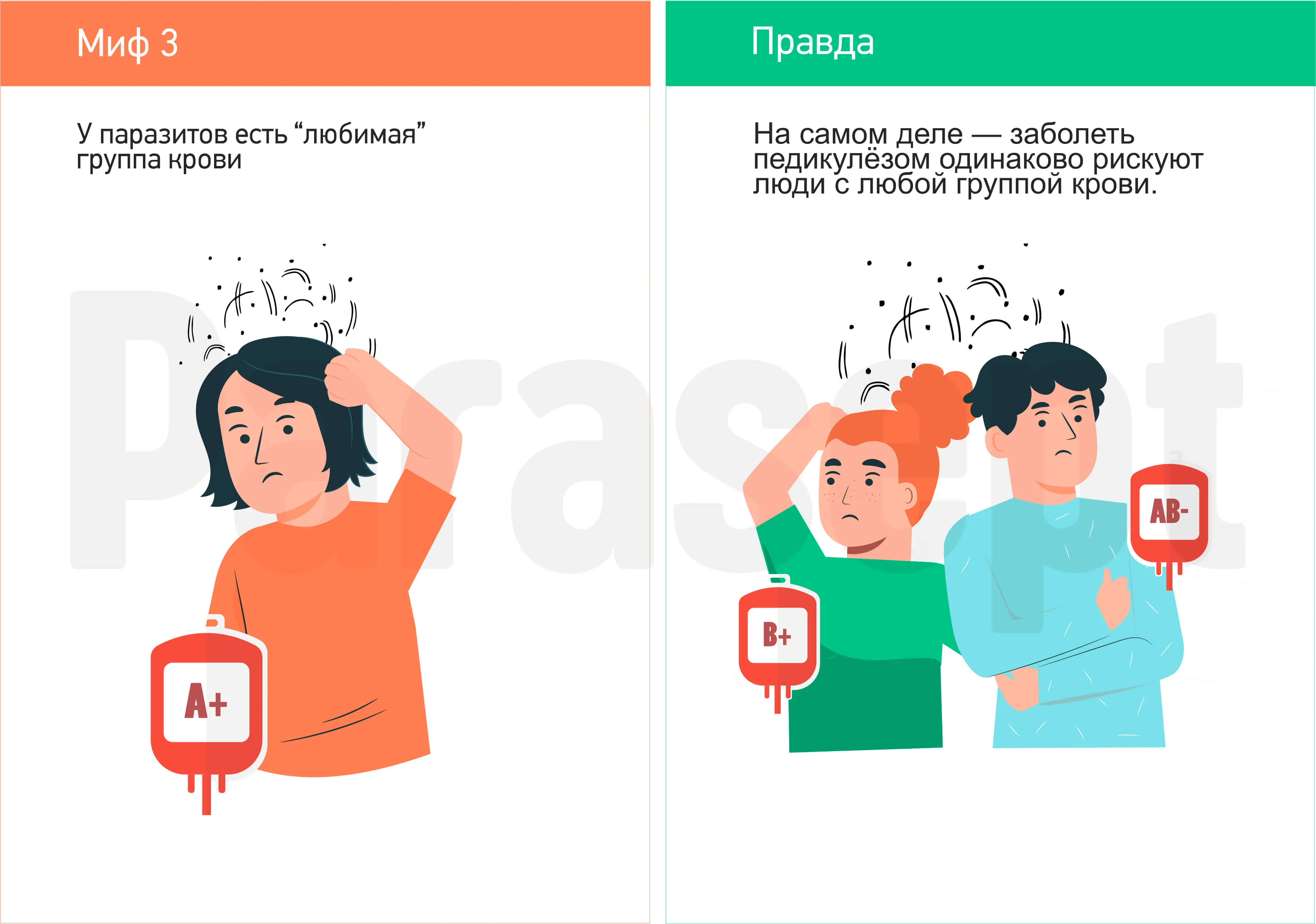 Миф о педикулезе