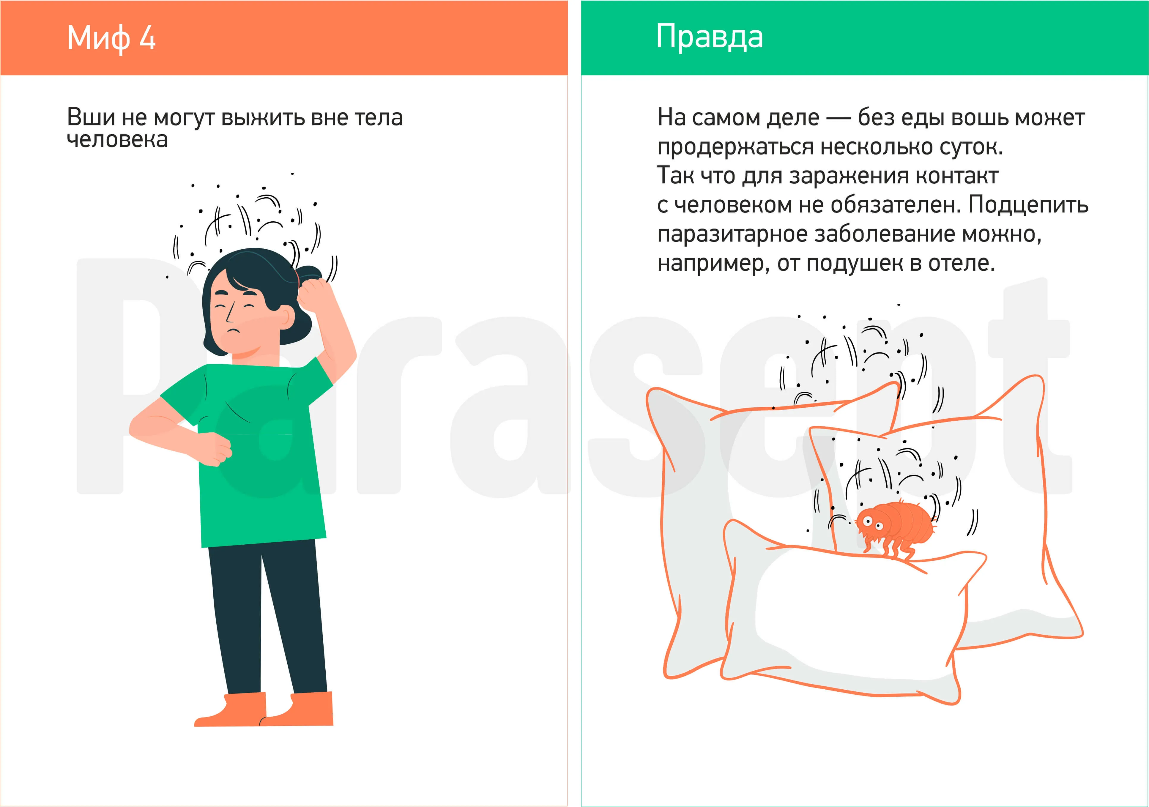 Миф о педикулезе