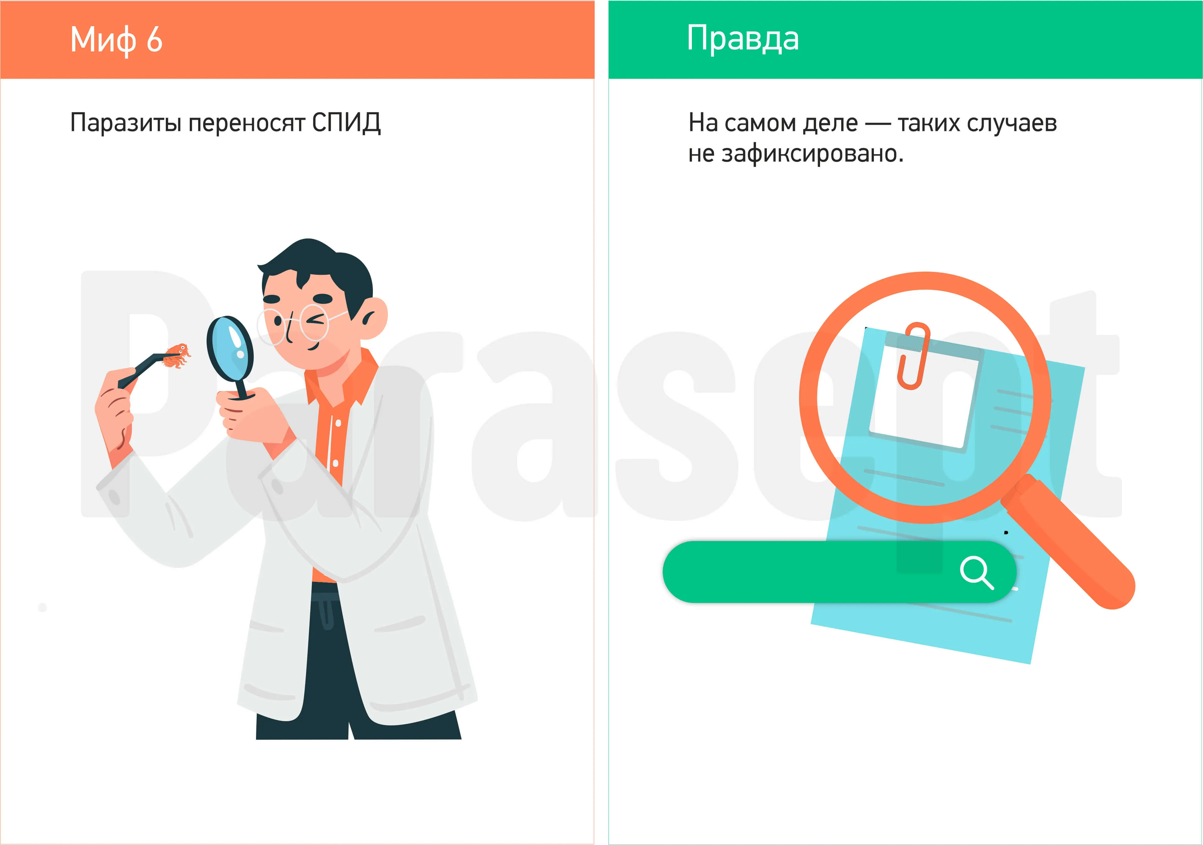 Миф о педикулезе