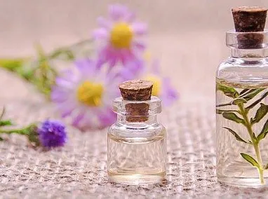 9 народных средства в борьбе со вшами: эффективность, безопасность, правила применения